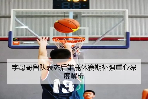 字母哥留队表态后雄鹿休赛期补强重心深度解析
